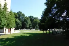 DSCN2451